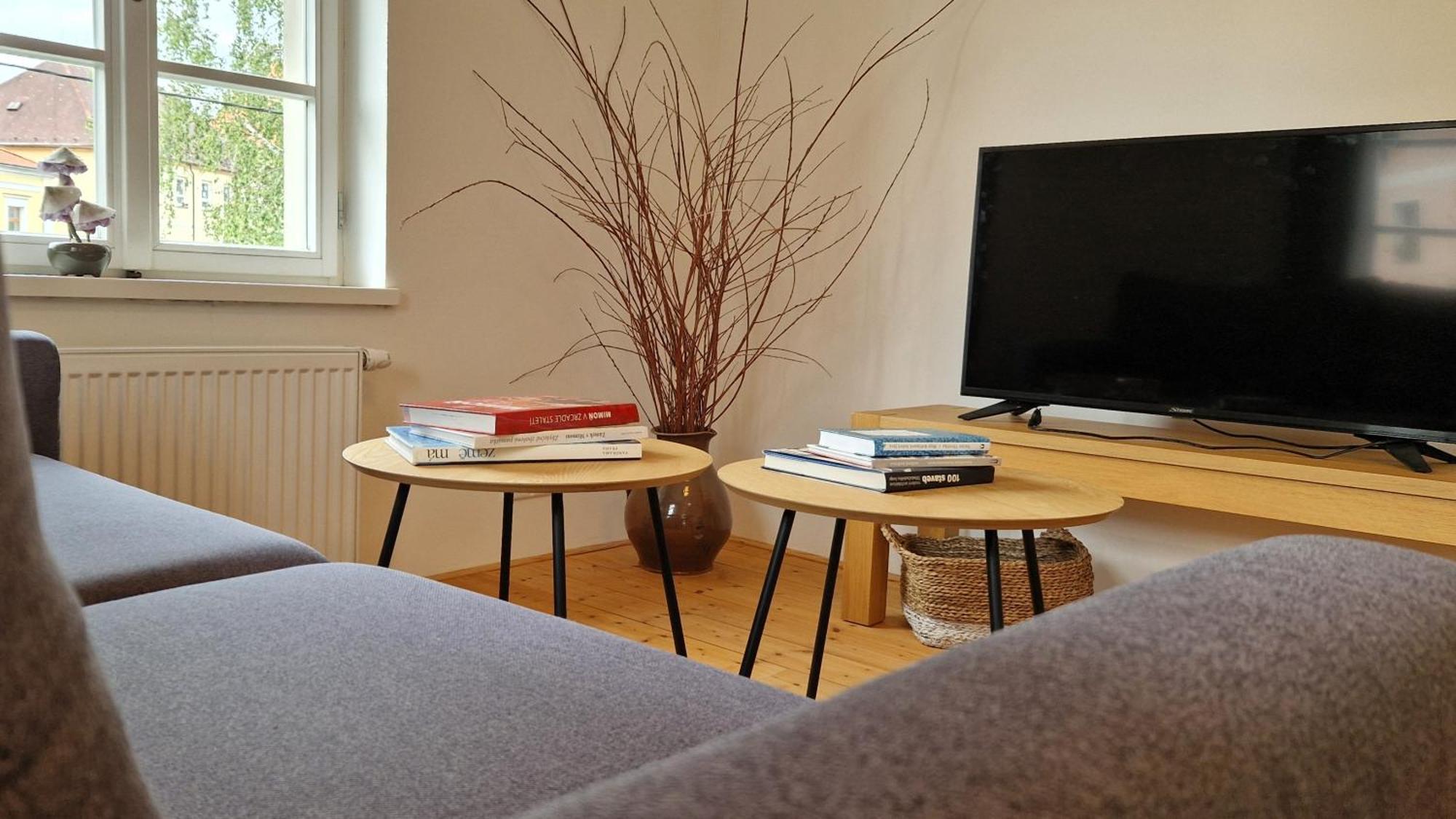 Brniste Apartmany Vcelin מראה חיצוני תמונה